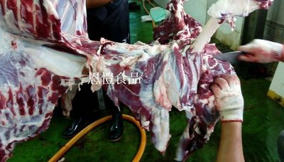 台灣鹿 . 鹿肉 . 生鮮鹿肉 . 鹿產品 . 鹿肉宅配 (去皮去骨)一斤400元    另:鱷魚肉  (恩愷食品)