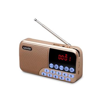 (TOP 3C家電)WS-T039U 旺德 USB/MP3/FM 隨身音響 音量旋鈕調整/FM收音機(實體店面)