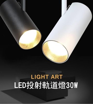 *Phone寶*LED軌道燈 COB晶片 投射燈 220V 30W 特價出清