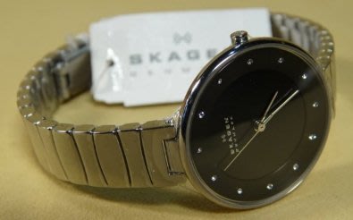 (SKAGEN) 北歐丹麥名錶 簡潔優雅時尚 (女錶) 不鏽鋼錶帶