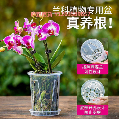 蝴蝶蘭專用花盆控根塑料透明青山盆加厚透氣樹脂家用蘭花月季大號