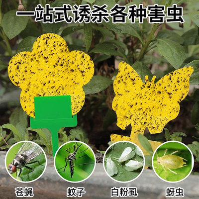 溜溜花型粘蟲板雙面家用花卉粘蟲紙黃色果蠅誘蟲板誘捕器花園