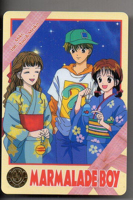 《CardTube卡族》(061122) 100 日本原裝橘子醬男孩 萬變卡∼ 1995年遊戲普卡