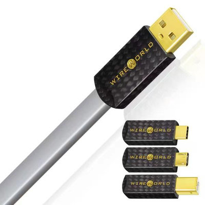 【賽門音響】Wireworld Platinum Starlight® 8 USB 2.0 傳輸線《公司貨》