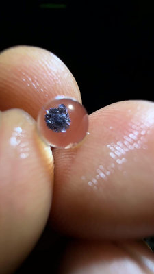 5.5mm天然藍鐵礦花水晶單珠，全包裹大顆粒鐵礦花晶體有片七