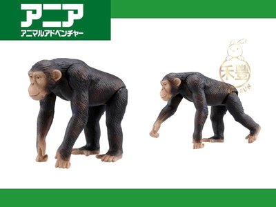 [日本代購牙套哥] AS-14 黑猩猩 塑膠可動 TOMY 動物樂園