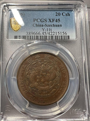 鑑定幣 大清銅幣 光緒年造 中心川 丙午 二十文 銅幣 PCGS XF45 品相 少見品種保證真品