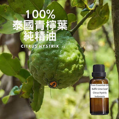 100%泰國青檸葉純精油Kaffir Lime leaf-Pure Essential Oil-250ml