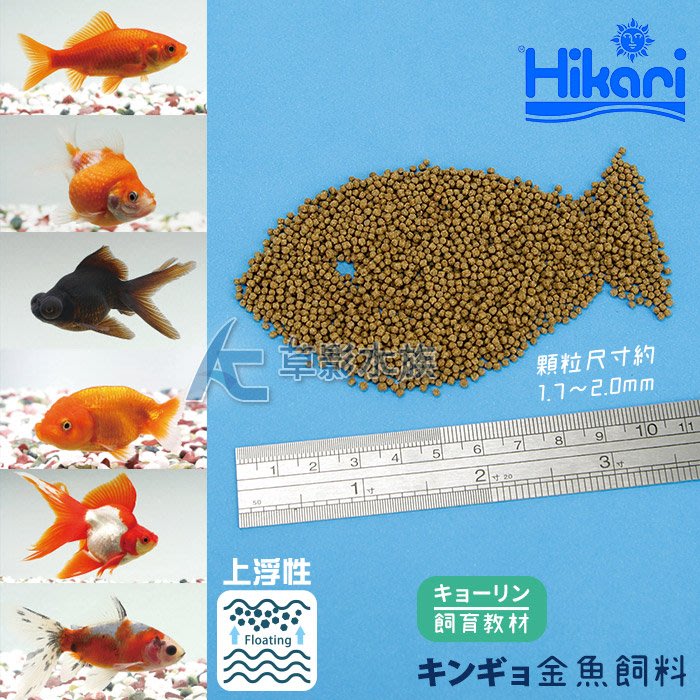 Ac草影 Hikari 高夠力飼育教材金魚飼料 40g 一包 Yahoo奇摩拍賣