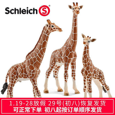 眾信優品 思樂schleich野生動物公母小長頸鹿S147491475014751模型玩具LG249