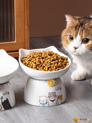 貓咪飯碗陶瓷貓貓吃飯碗高腳貓碗大號斜口碗防打翻貓食盆寵物飯盆.