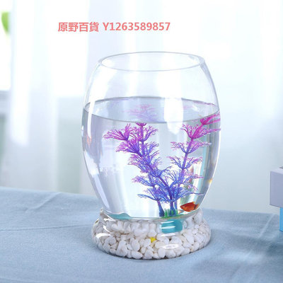 創意水族箱生態橢圓形玻璃金魚缸大號烏龜缸迷你小型造景水培花瓶