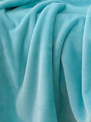 床包廠貨通抗菌珊瑚絨毛毯被子法蘭絨床單人床上毛絨冬季加厚保暖蓋毯
