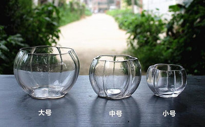 花瓶 瓶 水培玻璃花盆可養銅錢草南瓜玻璃盆
