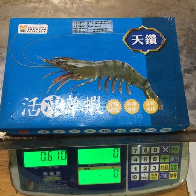 活凍草蝦一盒只要150元☆鴻德水產☆滿額免運