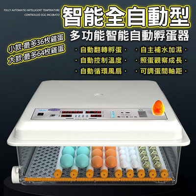 【新品現貨】一機多用 不挑蛋種 『全自動保溫孵化機』 110V 雙 可當保溫箱 孵蛋器 孵蛋機 孵化箱