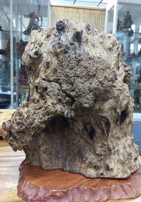 肖楠瘤自然風化木    含花梨樹瘤底座    肖楠瘤重約  12kg