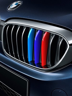 BMW寶馬 5系3系1/2/7裝飾卡扣X3/X1X2X5X6X7中網 水箱罩 卡扣  豬鼻子三色裝飾條 改裝車內飾用品-飛馬汽車