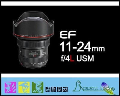 彩色鳥 (租鏡頭 鏡頭出租) 租 CANON EF 11-24mm F4L USM 5D4 EOSR R5 R6