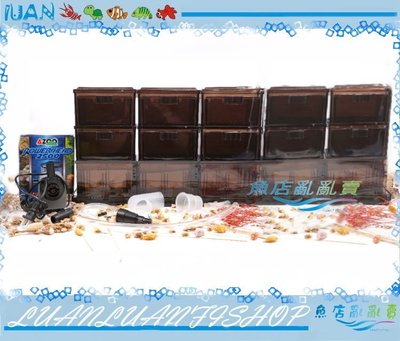 【魚店亂亂賣】升級版抽屜式上部三尺三層環型雙雨淋滴流過濾槽-茶色(乾濕分離)3尺多格槽+AZOO2500沉馬