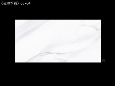 《磁磚本舖》新品促銷 全釉拋 白銀狐 63704 30*60cm 亮面 浴室 地壁可用 多模面