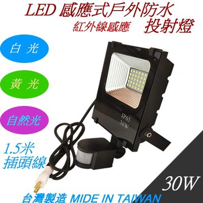 【LED30W感應燈】戶外防水投射燈/1.5米線長插頭線/另有10W/20W/50W/100W