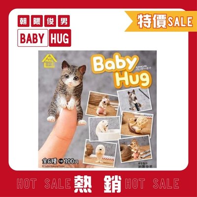 【童趣食玩館】Baby hug 朝隈俊男 全6種 盒玩 可指定角色 正版