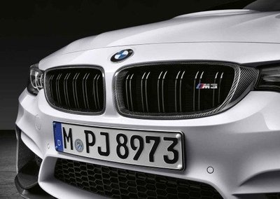 【樂駒】BMW M3 F80 M Performance 碳纖維 水箱罩 carbon grill 原廠 改裝品 套件