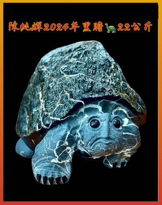 陳純輝2024年黑膽福龜