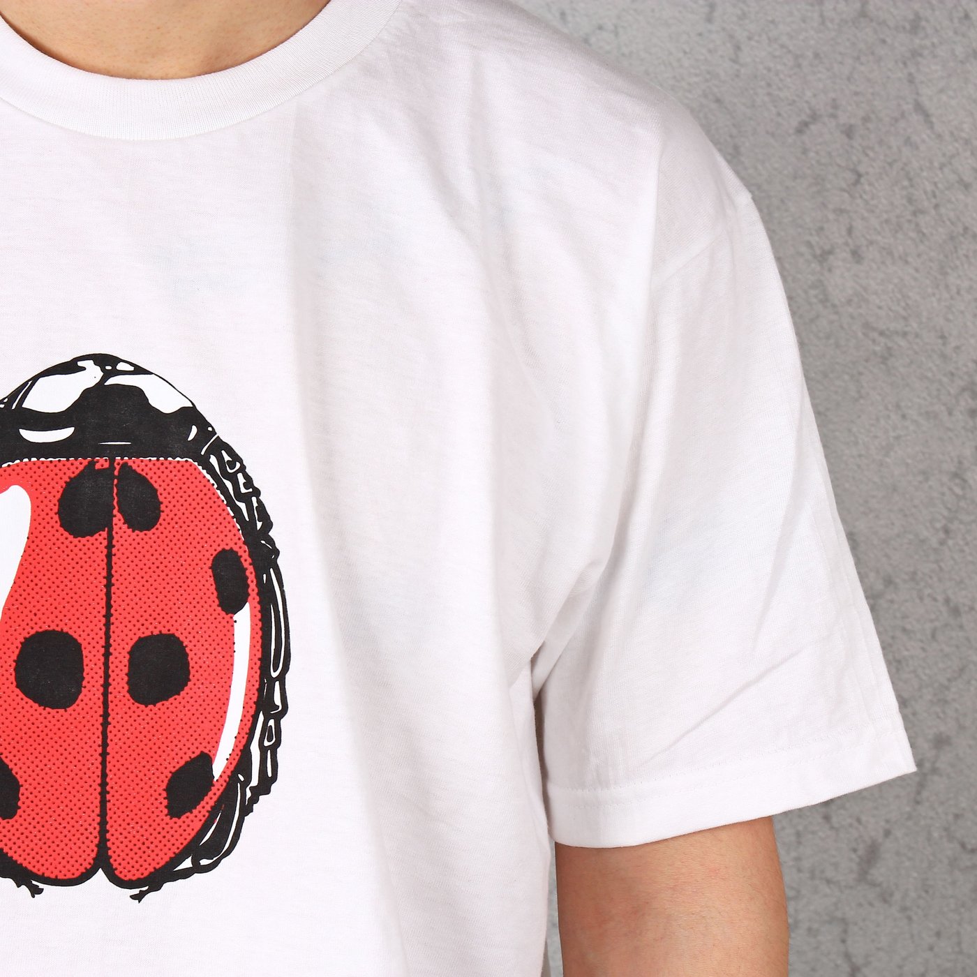 シュプリーム Tシャツ てんとう虫 LADYBUG XL アメリカ製