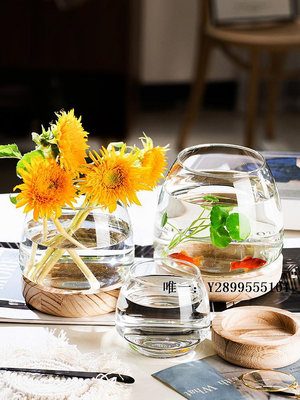 玻璃魚缸新款創意魚缸輕奢迷你玻璃觀賞小型金魚客廳桌面圓形家用魚缸水族箱