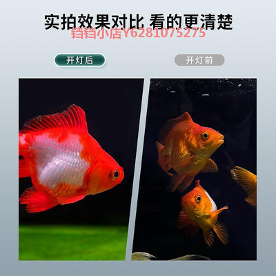 魚缸燈燈防水觀賞魚金魚缸專用筒燈爆藻增色水草溪流缸全光譜