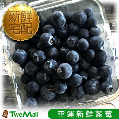 藍莓 水果 6盒(750g)禮盒 空運進口水果 送禮精緻大方 新鮮冷藏宅配到府