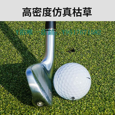 高爾夫打擊墊 Caiton高爾夫打擊墊室內練習地毯墊子加厚擊球墊golf揮桿練習草皮