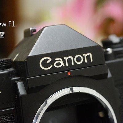 買取り実績 綺麗 Canon F-1 後期型 #857/284/2/1 キヤノン - innofor.es