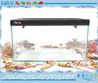 【~魚店亂亂賣~】台灣HIROTA玻璃爬蟲箱RP-3520型(35*20*20cm) 兩棲.寵物缸(烏龜養殖缸)