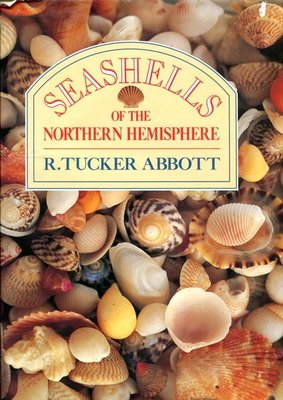 【語宸書店B12B/西文書】《Seashells of the Northern Hemisphere》R. Tucker Abbott