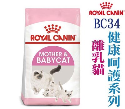 **狗族遊樂園**法國皇家 ROYAL CANIN 健康系列 BC34 離乳貓 4KG