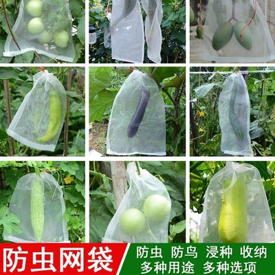 現貨 家庭防蟲網袋水果套袋多用途果農套袋茄子保護袋網罩果園透氣番茄~特價