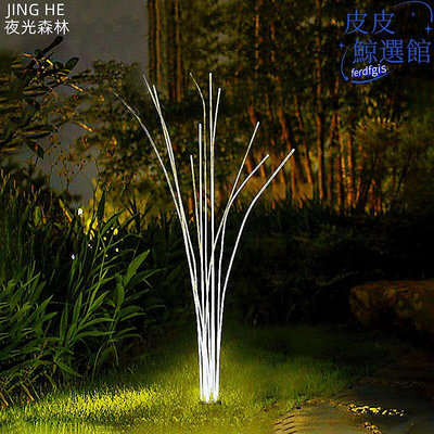 led光纖蘆葦燈創意庭院燈戶外公園別墅景觀裝飾燈園林亮化草坪燈