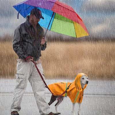Amy寵物生活館:PU斗篷式雨衣 5XL/狗雨衣/寵物雨衣