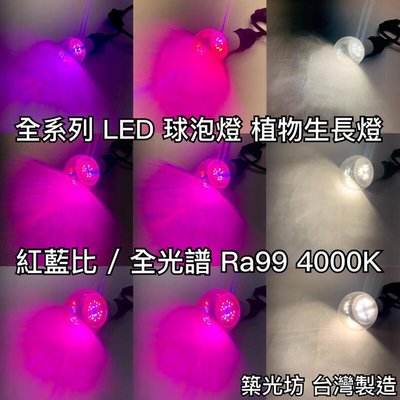【築光坊】 台灣製造 E27 LED 植物生長燈 紅光620nm 藍光450nm 全光譜Ra99 4000K 植物燈泡