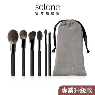 Solone 大藝術家玩色刷具 面面俱到專業6件組 (專業升級)
