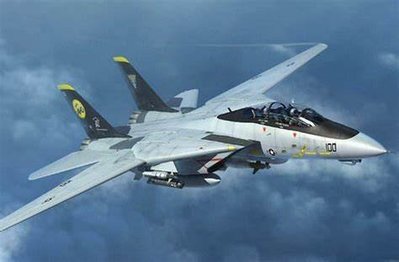 【TRUMPETER 03919】1/144 美國 F-14D TOMCAT 熊貓 戰鬥機
