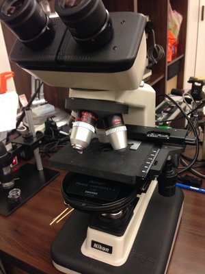浩宇光學 可看藻類內部物質傳輸 nikon YS-2 相位差顯微鏡 leica zeiss olympus 請參考