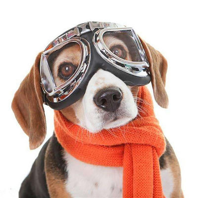 創意新款寵物太陽眼鏡 大鏡框狗狗哈雷眼鏡寵物飾品