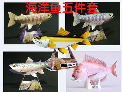 兒童益智手工制作仿真石鯛魚鱒魚巖魚立體3D紙質模型紙藝玩具~~特價