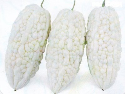 【蔬菜種子L389】白水果苦瓜~~果色白，果形粗長型， 播種至採收約75天。適宜炒食、做生菜沙拉。