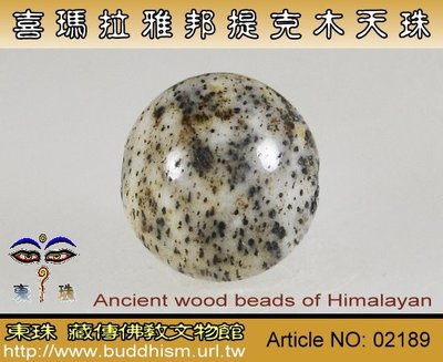 【東珠文物】古老喜瑪拉雅邦提克木天珠系列。02189