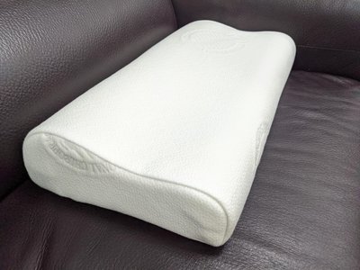 【名床工廠睡眠館】100%天絲涼感親水性記憶恆溫水冷膠枕(人體工學)－兩顆免運費